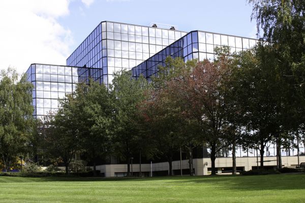 Commercial Tree Trimming in Roseville