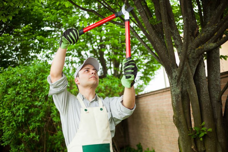 Tree Health Maintenance